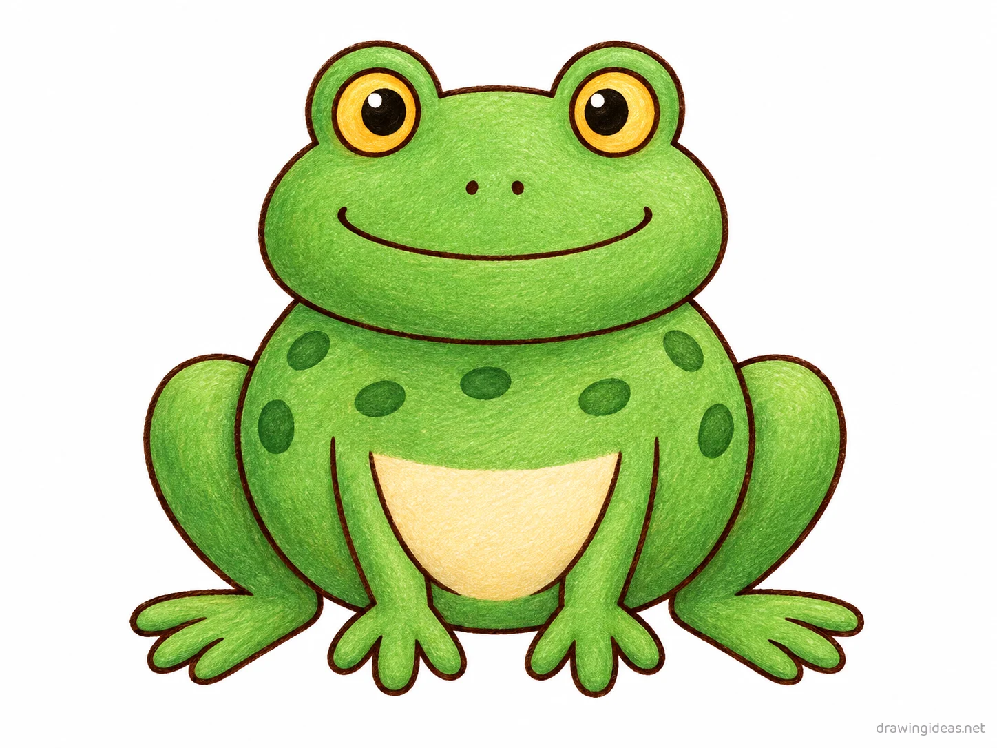 Frog drawing — hand-drawn frog illustration with ink lines and soft colors