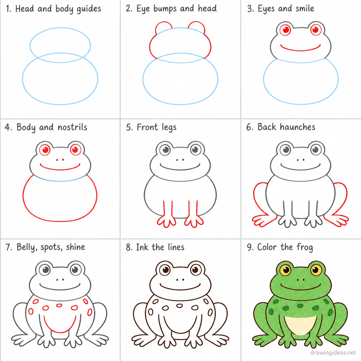 How to draw a frog step by step — 9-step frog drawing tutorial sheet