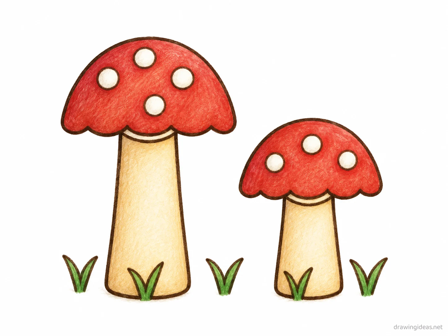 Fungi drawing — hand-drawn fungi illustration with ink lines and soft colors
