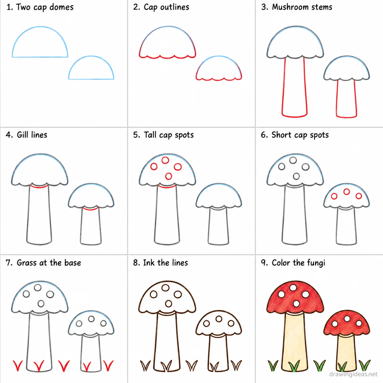 How to draw a fungi step by step — 9-step fungi drawing tutorial sheet