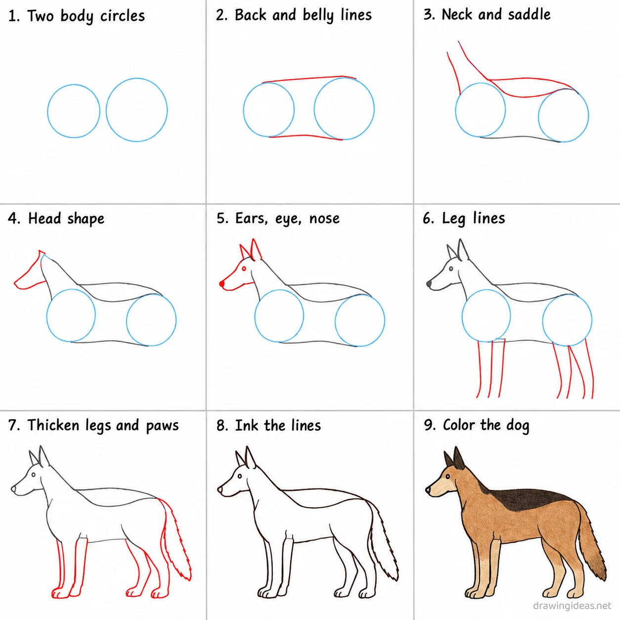 How to draw a German shepherd step by step — 9-step German shepherd drawing tutorial sheet