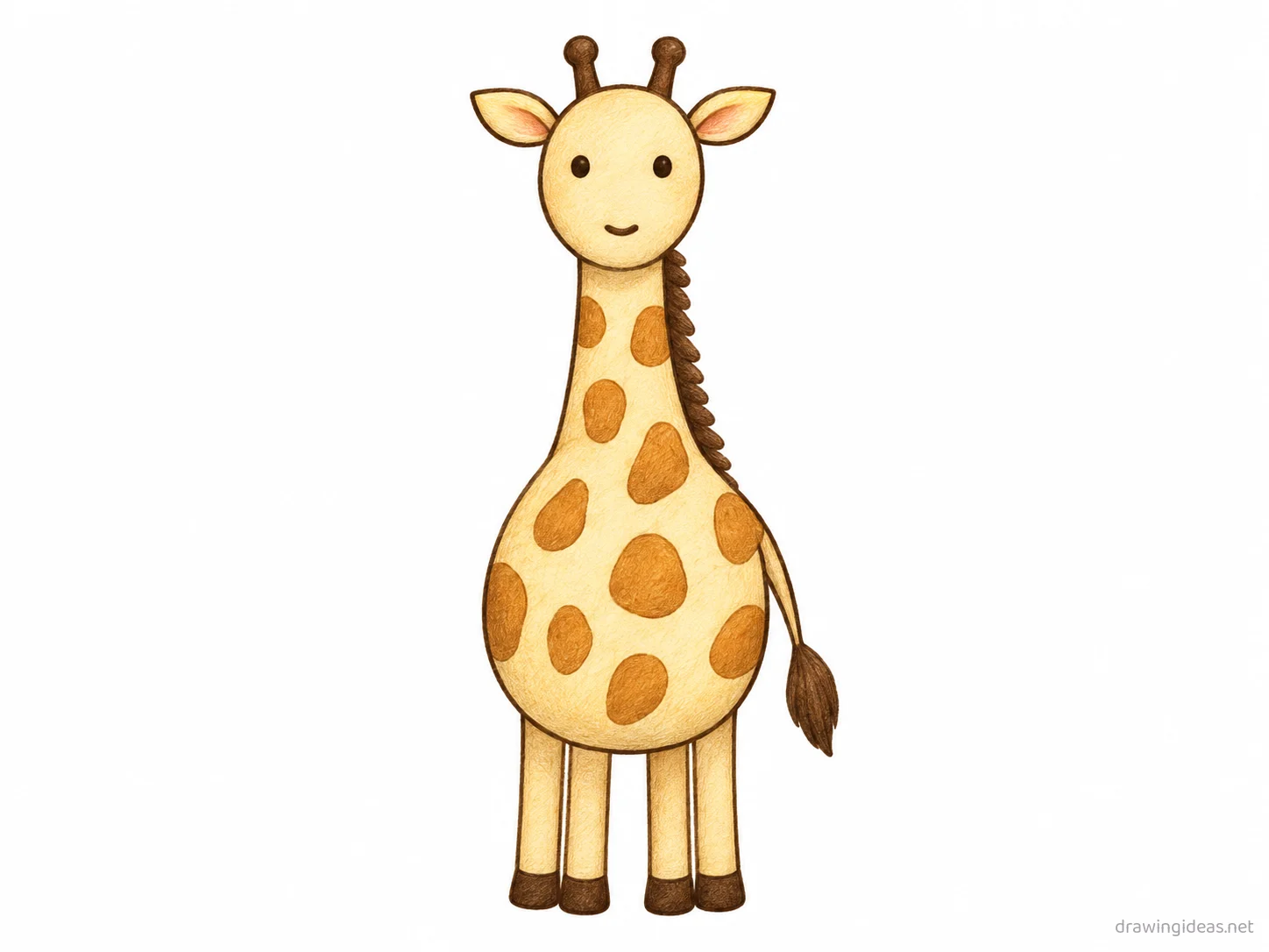 Giraffe drawing — hand-drawn giraffe illustration with ink lines and soft colors