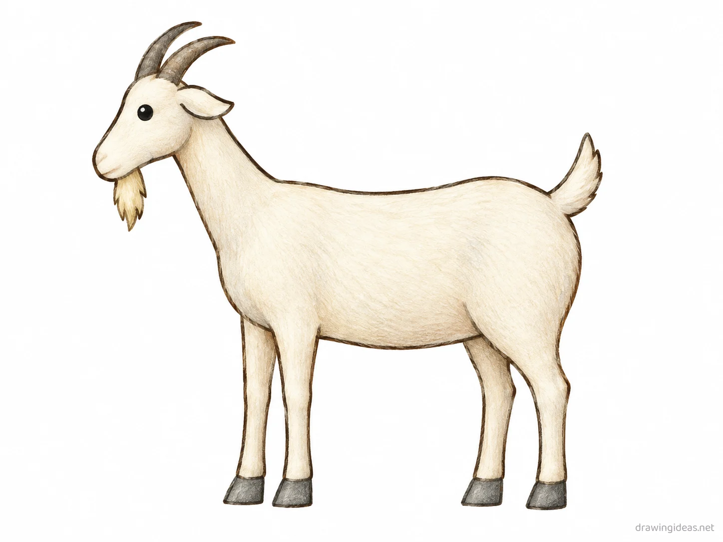 Goat drawing — hand-drawn goat illustration with ink lines and soft colors