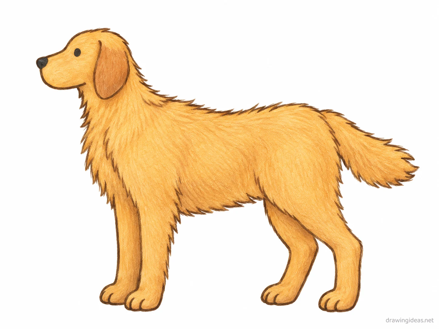 Golden Retriever drawing — hand-drawn golden retriever illustration with ink lines and soft colors
