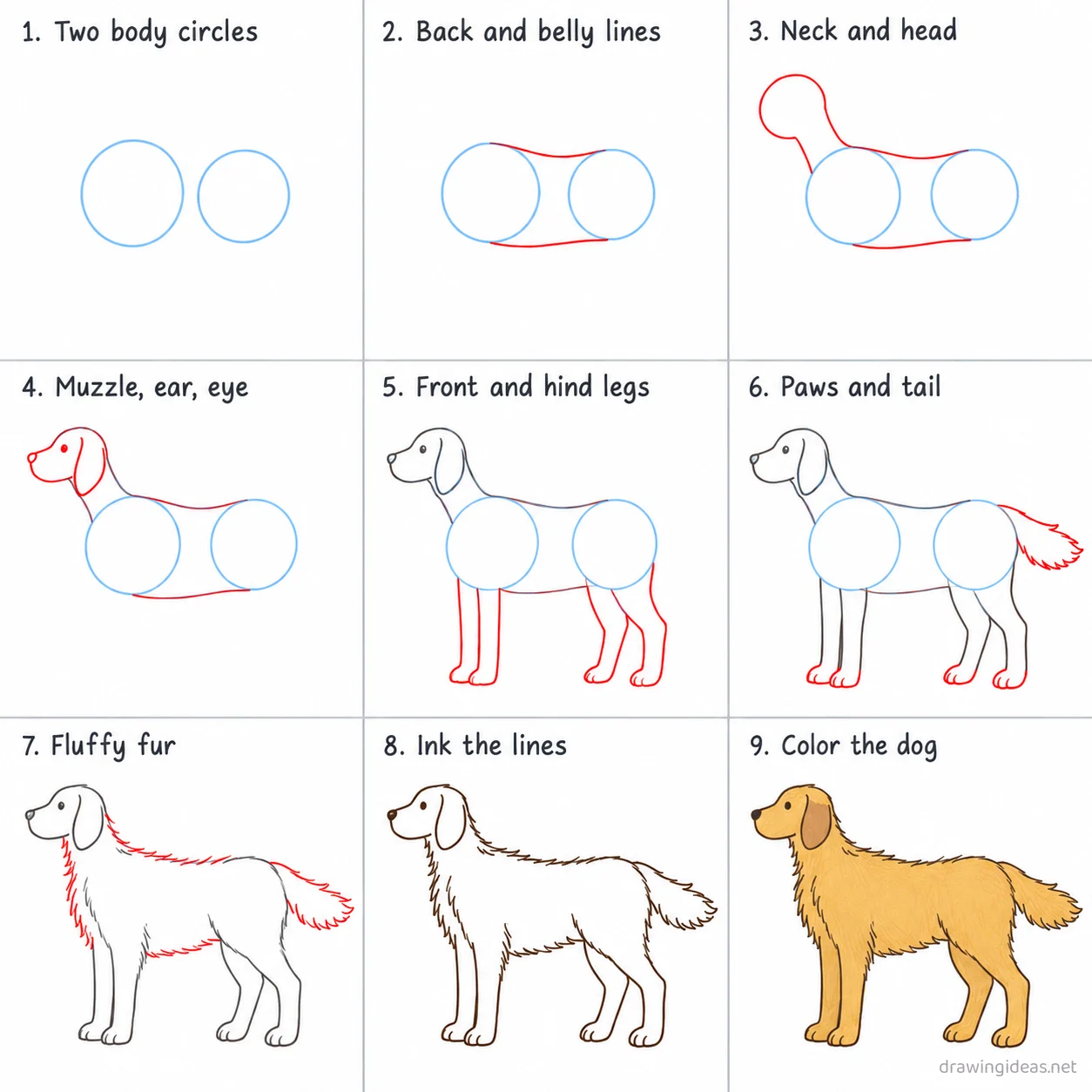 How to draw a golden retriever step by step — 9-step golden retriever drawing tutorial sheet