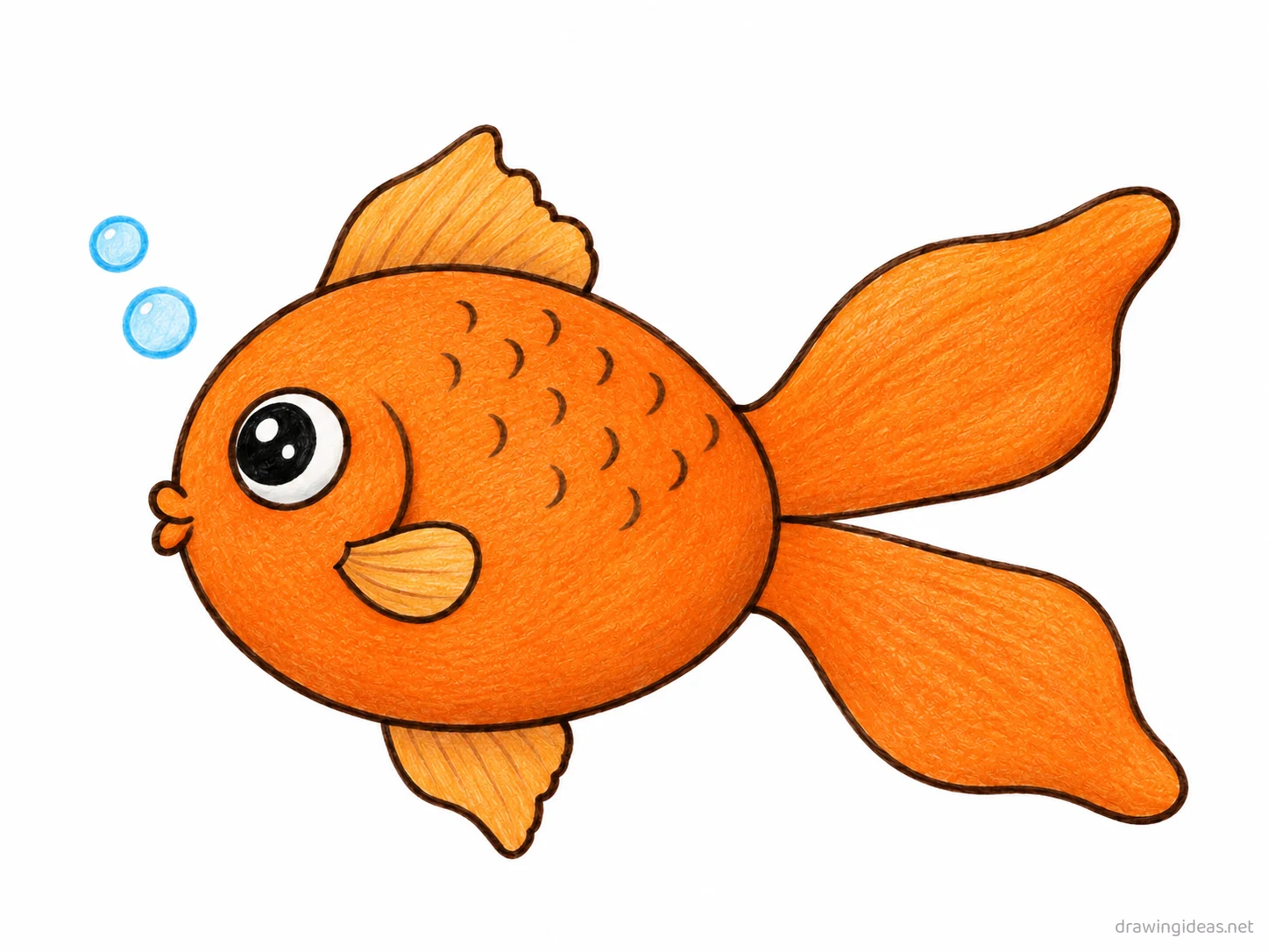 Goldfish drawing — hand-drawn goldfish illustration with ink lines and soft colors