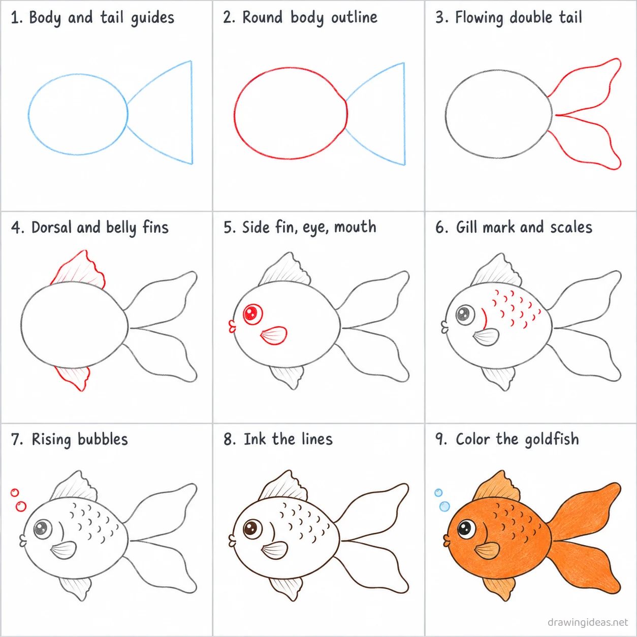 How to draw a goldfish step by step — 9-step goldfish drawing tutorial sheet