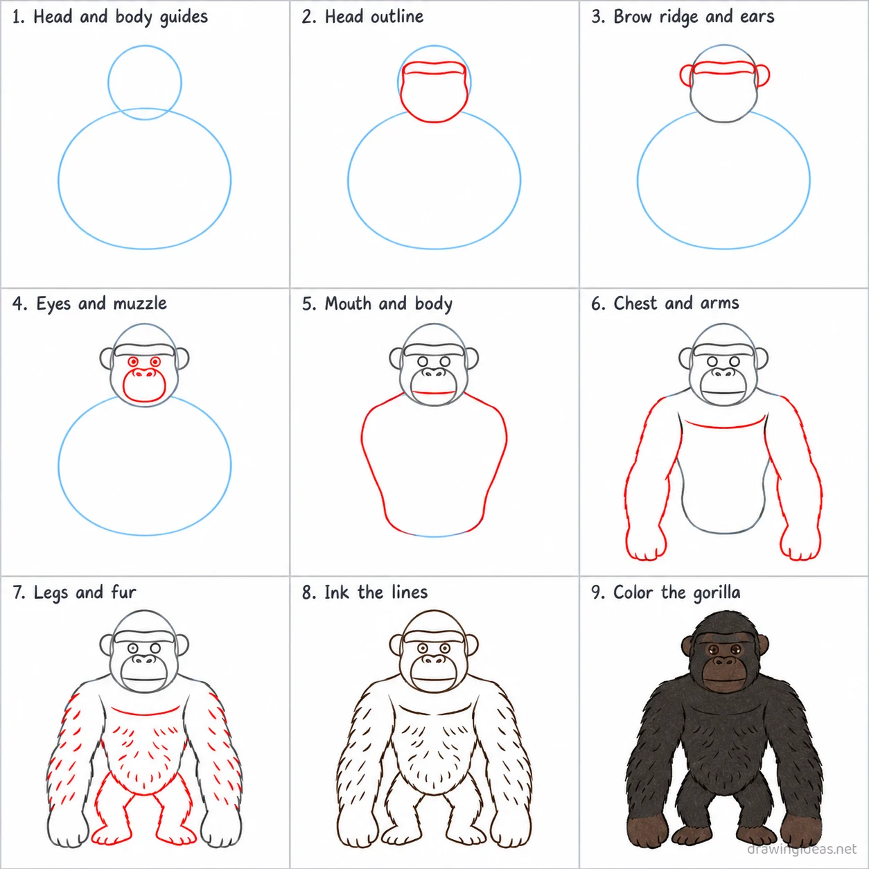 How to draw a gorilla step by step — 9-step gorilla drawing tutorial sheet