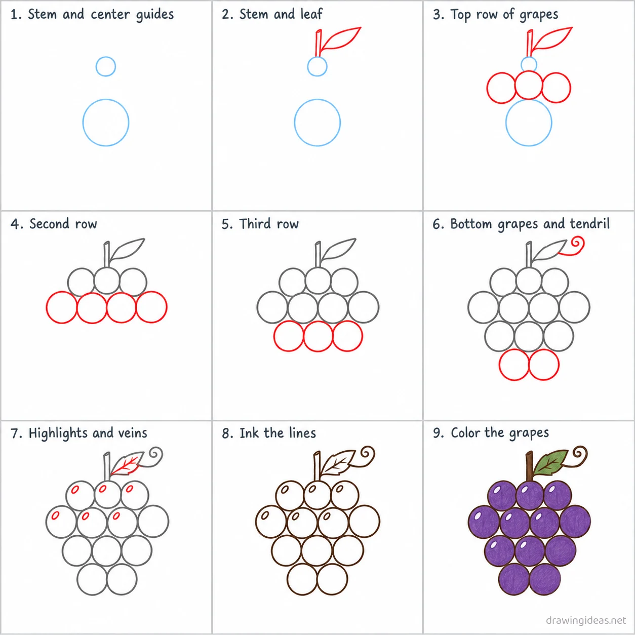 How to draw grapes step by step — 9-step grapes drawing tutorial sheet