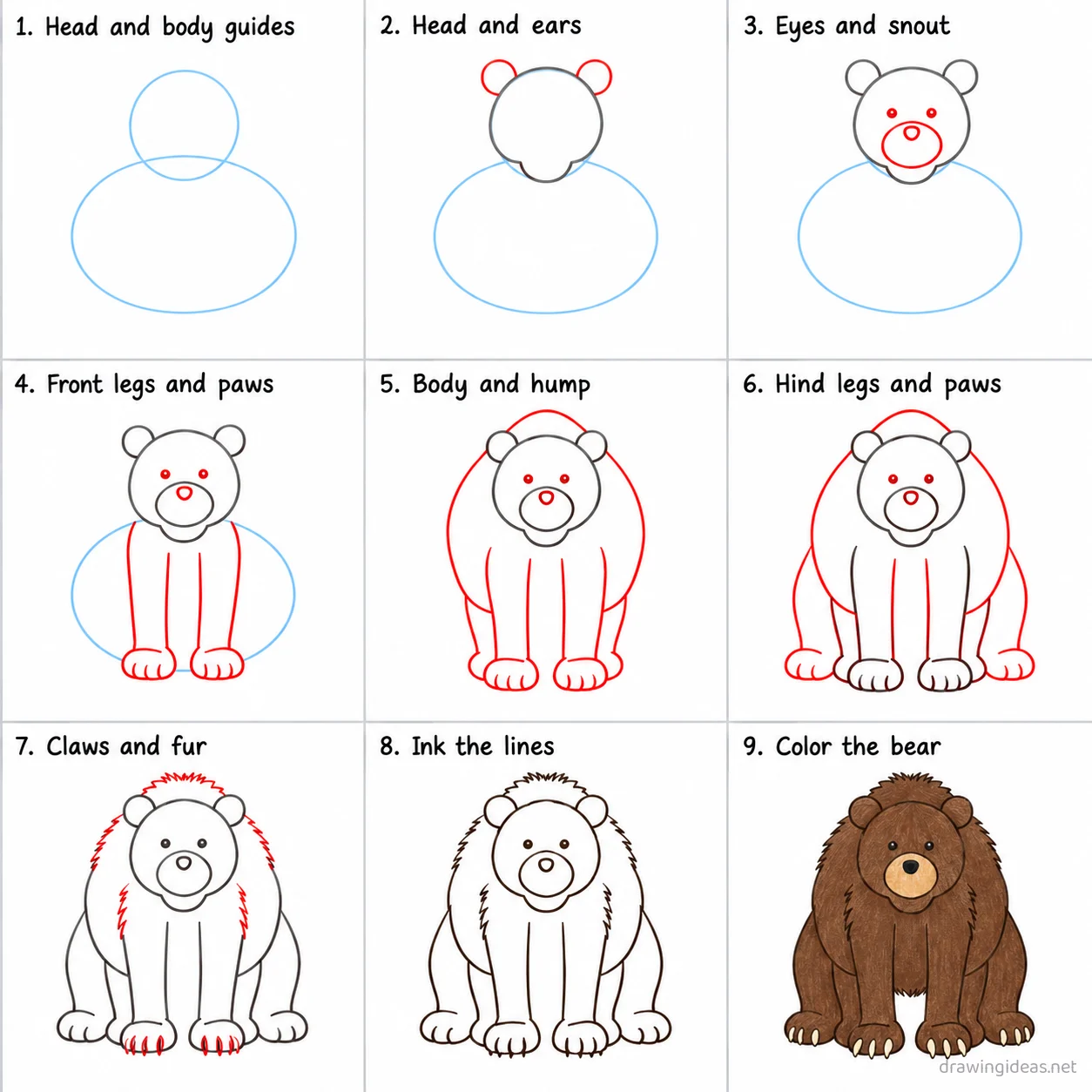 How to draw a grizzly bear step by step — 9-step grizzly bear drawing tutorial sheet
