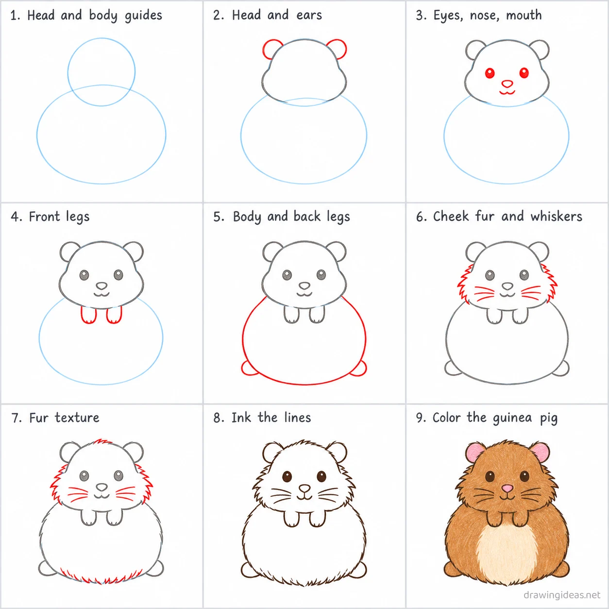 How to draw a guinea pig step by step — 9-step guinea pig drawing tutorial sheet