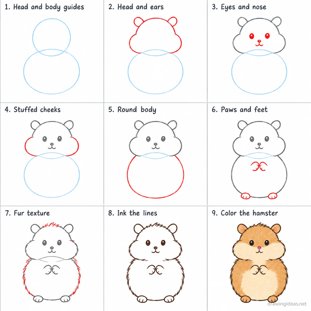 How to draw a hamster step by step — 9-step hamster drawing tutorial sheet