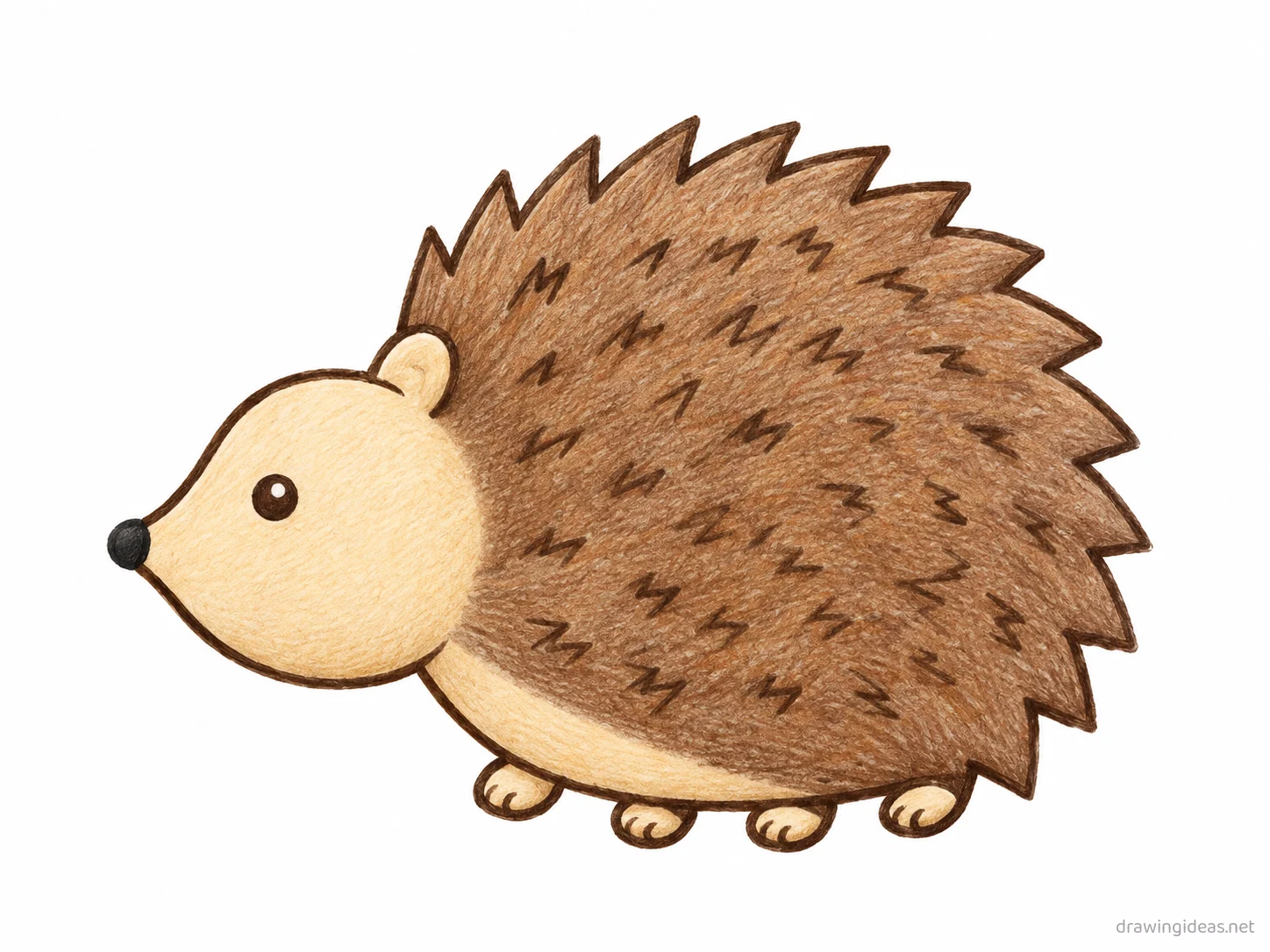 Hedgehog drawing — hand-drawn hedgehog illustration with ink lines and soft colors