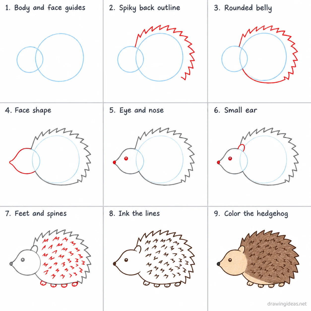 How to draw a hedgehog step by step — 9-step hedgehog drawing tutorial sheet