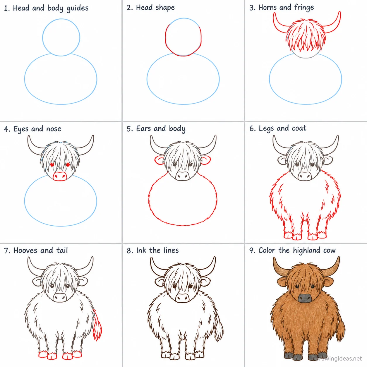 How to draw a highland cow step by step — 9-step highland cow drawing tutorial sheet