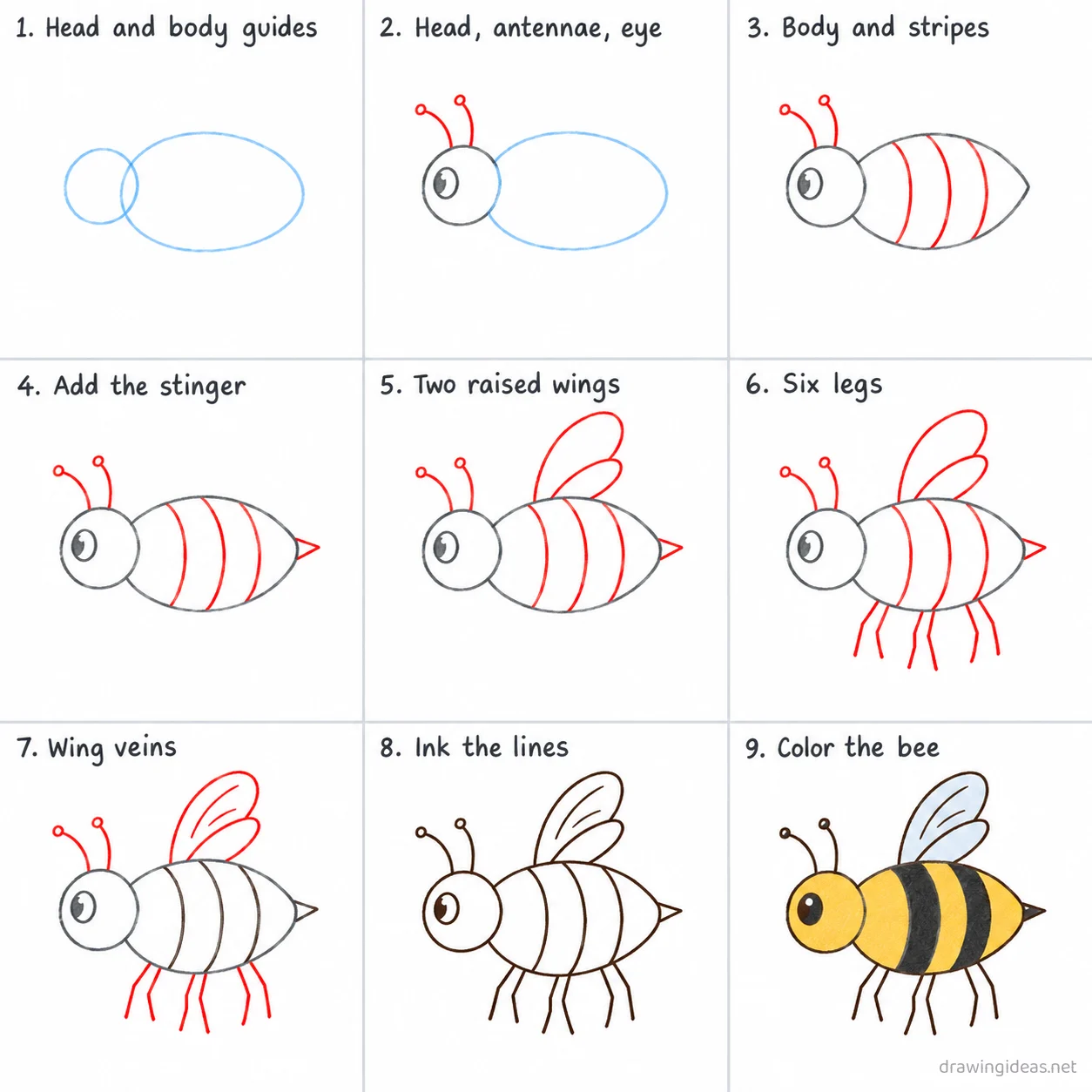 How to draw a honey bee step by step — 9-step honey bee drawing tutorial sheet