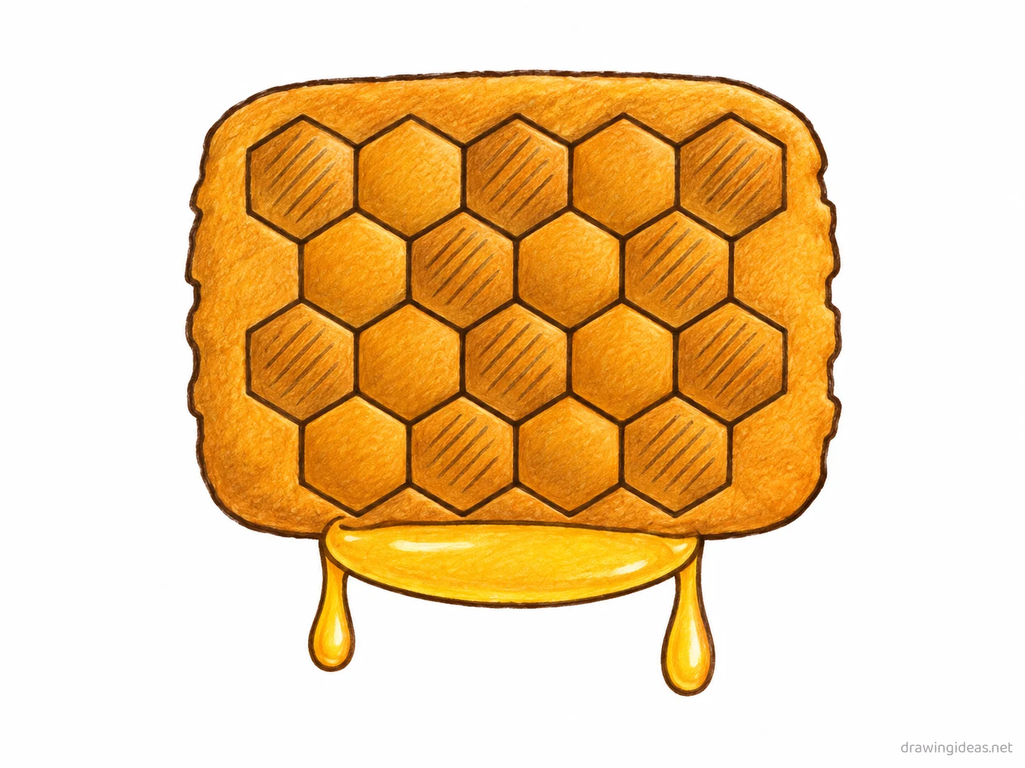 Honeycomb drawing — hand-drawn honeycomb illustration with ink lines and soft colors