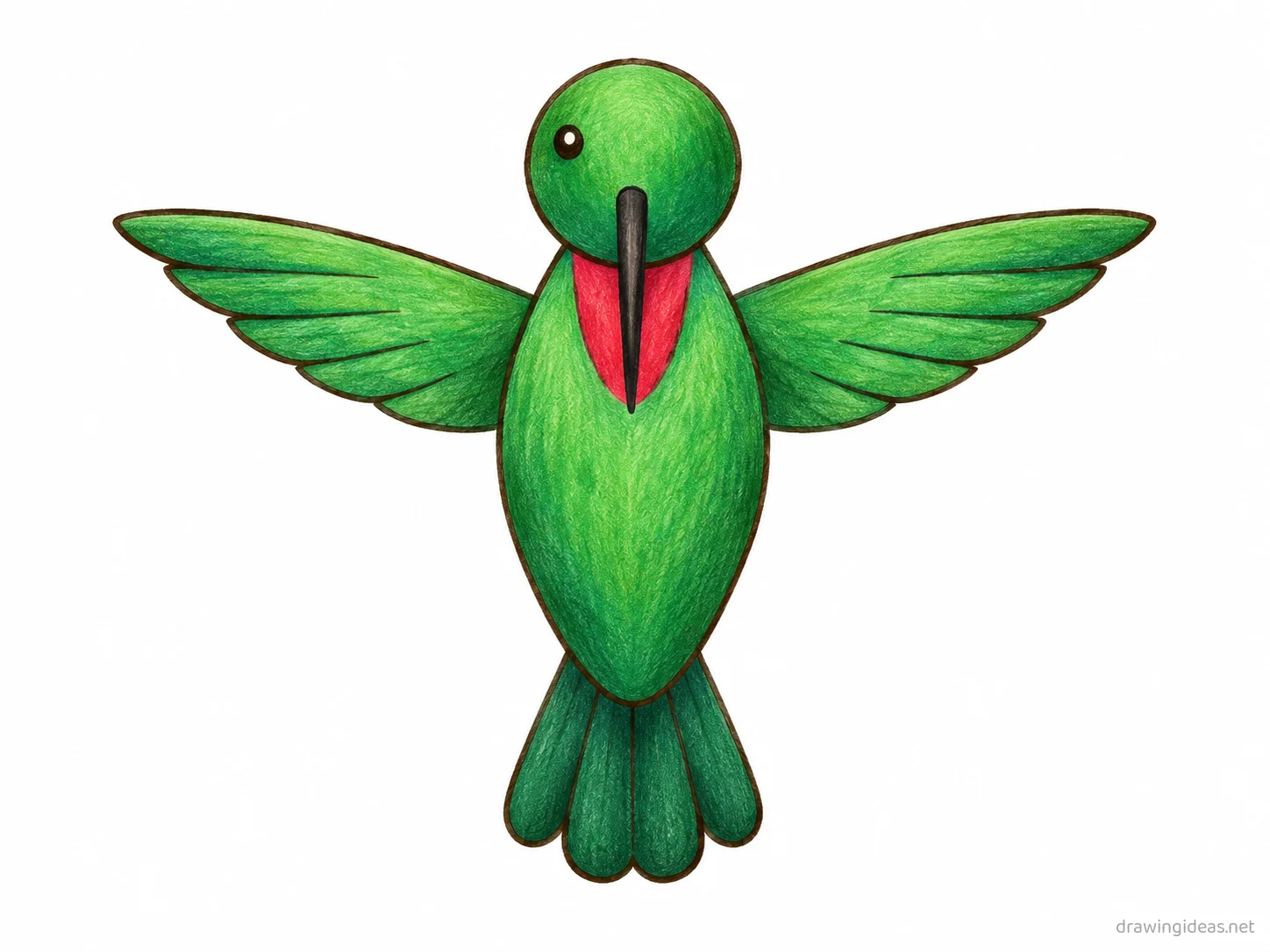 Hummingbird drawing — hand-drawn hummingbird illustration with ink lines and soft colors