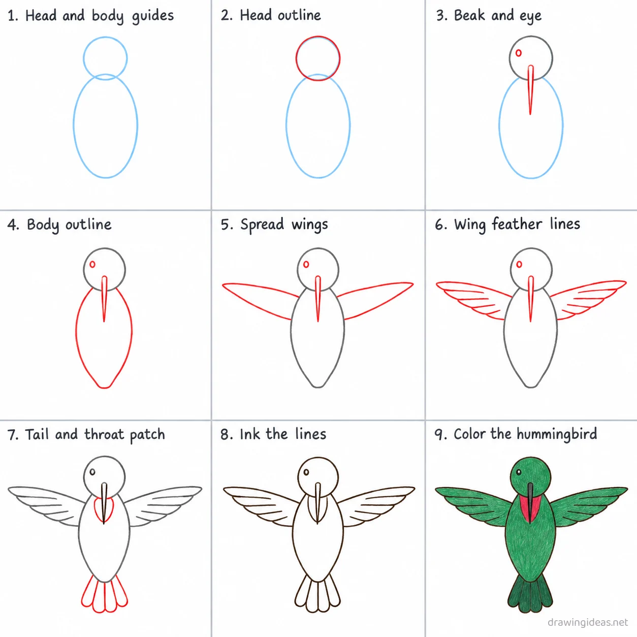 How to draw a hummingbird step by step — 9-step hummingbird drawing tutorial sheet