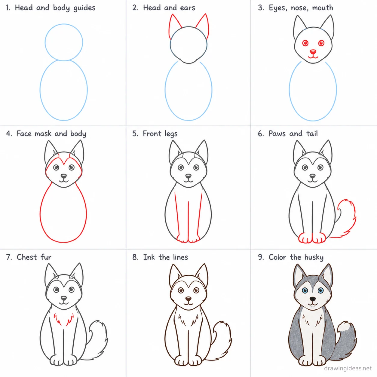 How to draw a husky step by step — 9-step husky drawing tutorial sheet