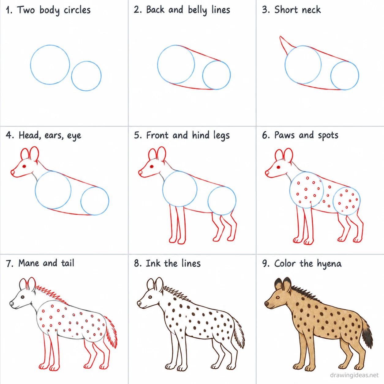 How to draw a hyena step by step — 9-step hyena drawing tutorial sheet