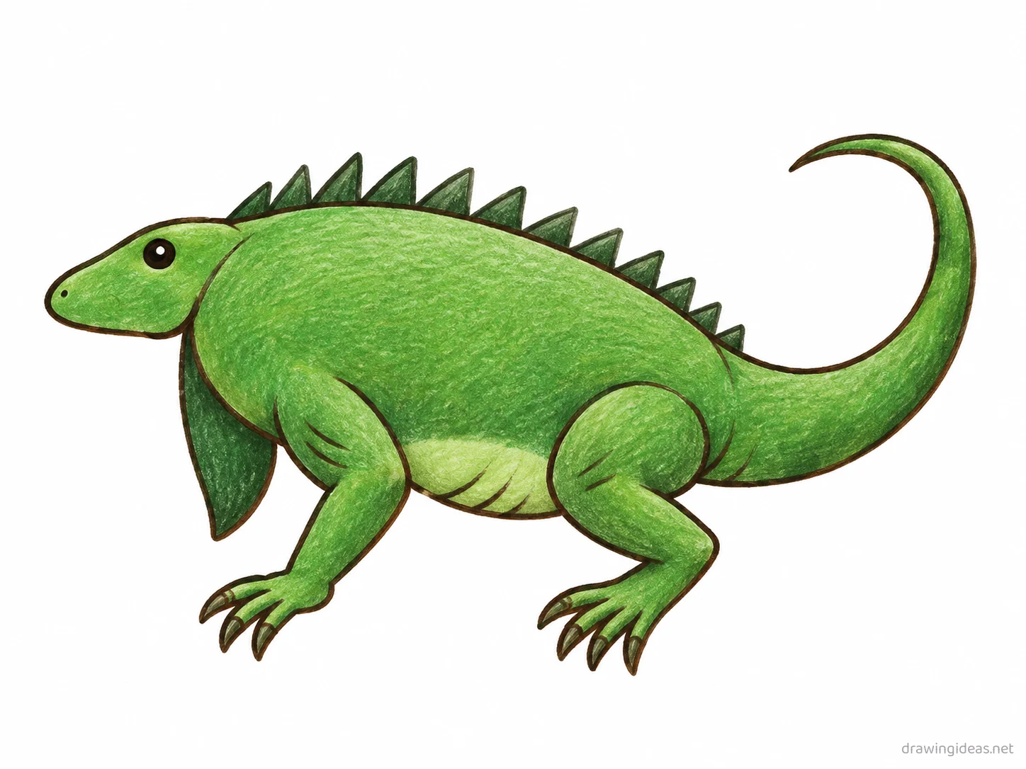 Iguana drawing — hand-drawn iguana illustration with ink lines and soft colors