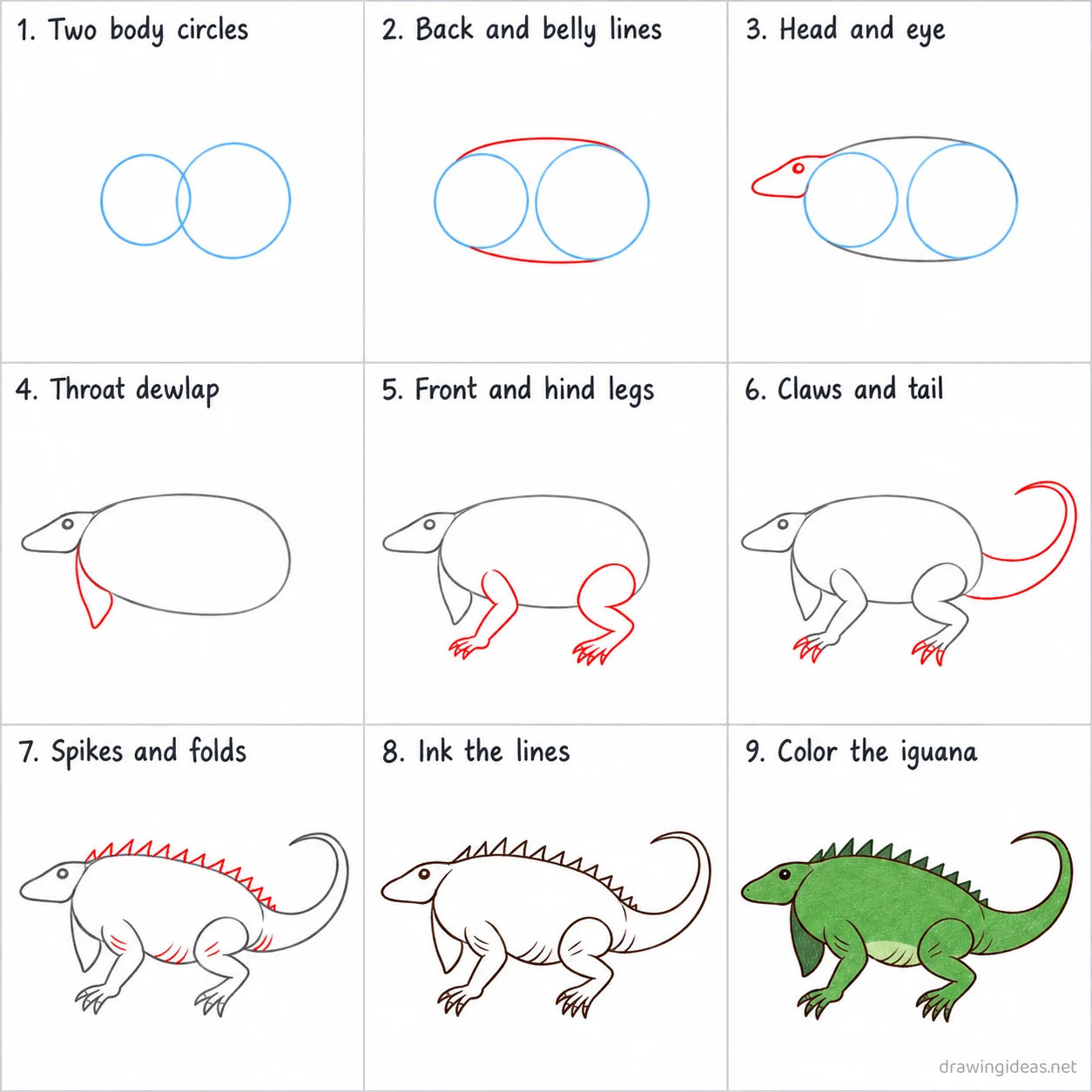 How to draw an iguana step by step — 9-step iguana drawing tutorial sheet