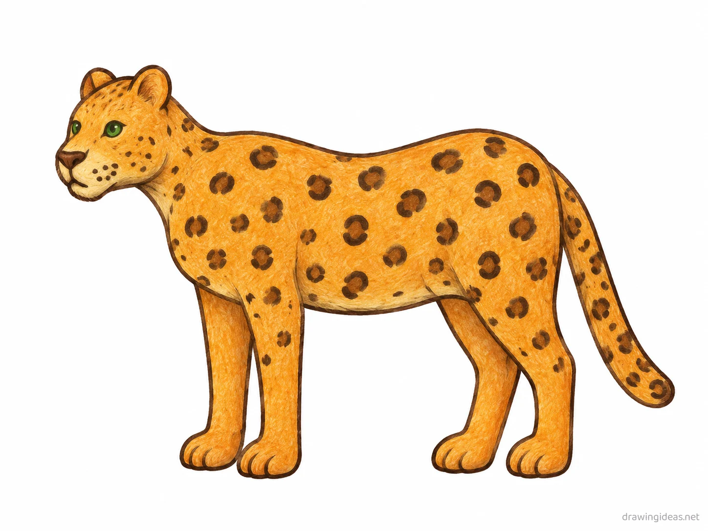 Jaguar drawing — hand-drawn jaguar illustration with ink lines and soft colors