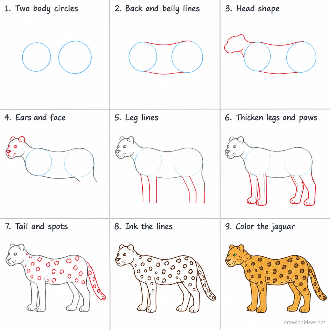 How to draw a jaguar step by step — 9-step jaguar drawing tutorial sheet