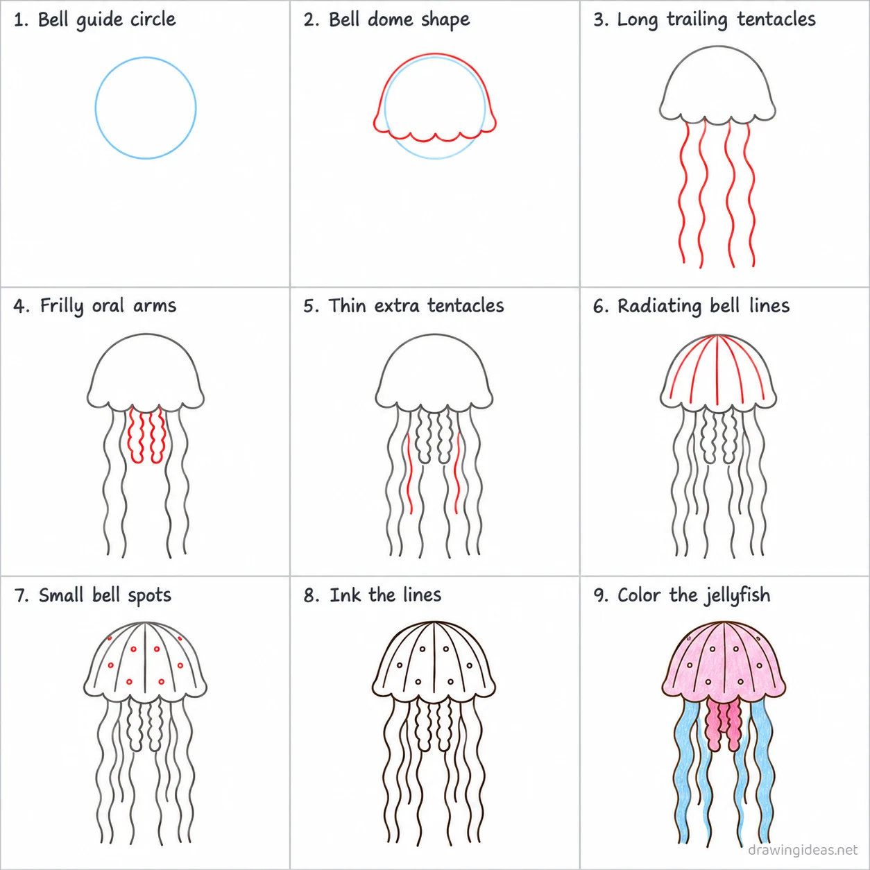 How to draw a jellyfish step by step — 9-step jellyfish drawing tutorial sheet