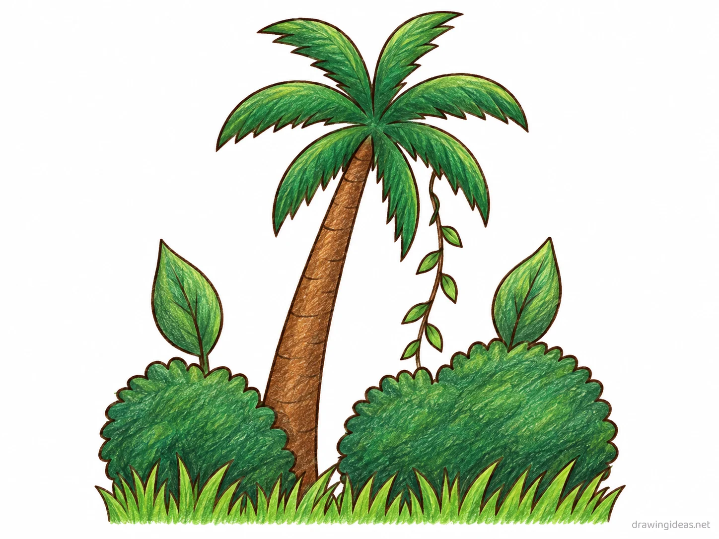 Jungle drawing — hand-drawn jungle illustration with ink lines and soft colors