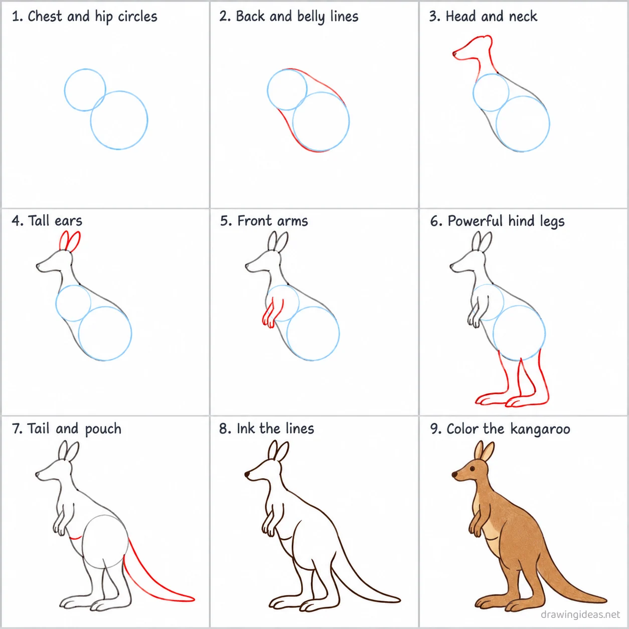 How to draw a kangaroo step by step — 9-step kangaroo drawing tutorial sheet