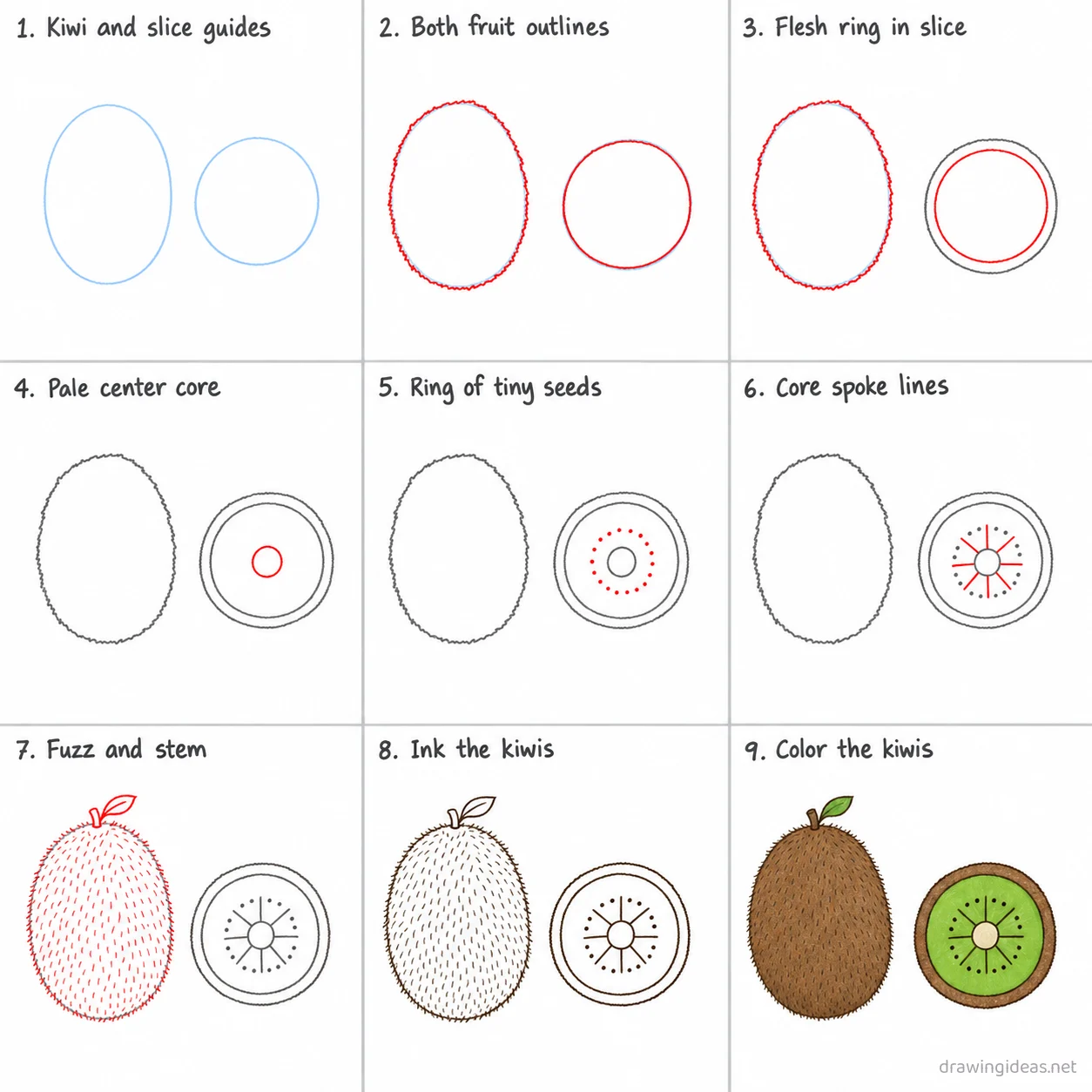 How to draw a kiwi step by step — 9-step kiwi drawing tutorial sheet