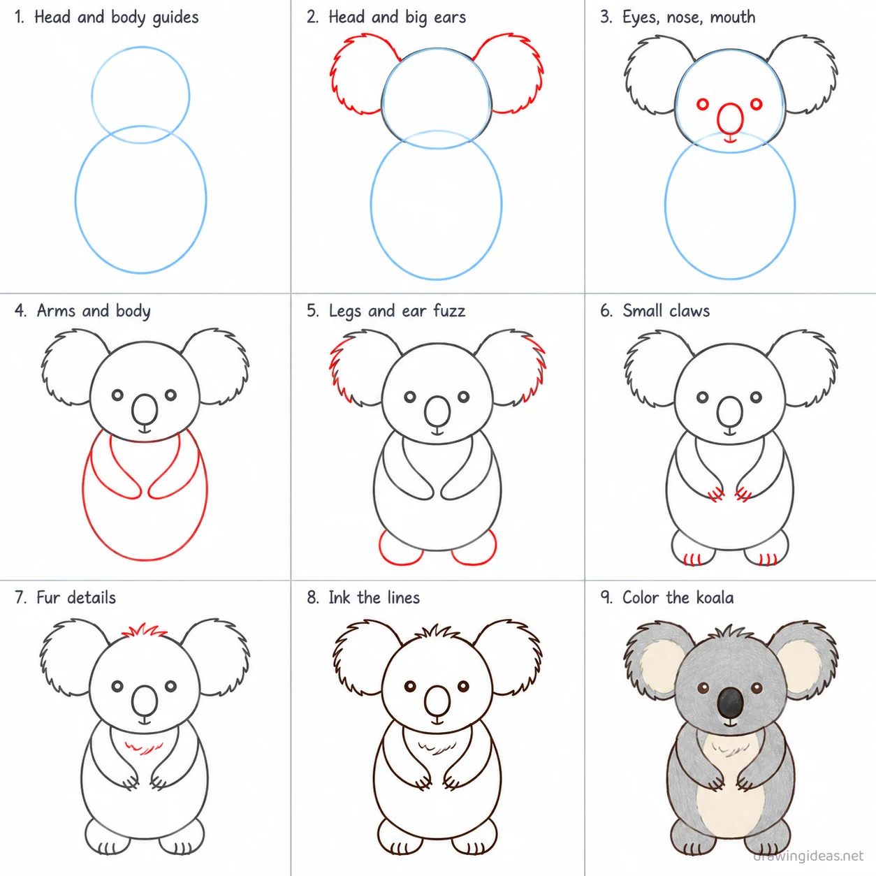 How to draw a koala step by step — 9-step koala drawing tutorial sheet