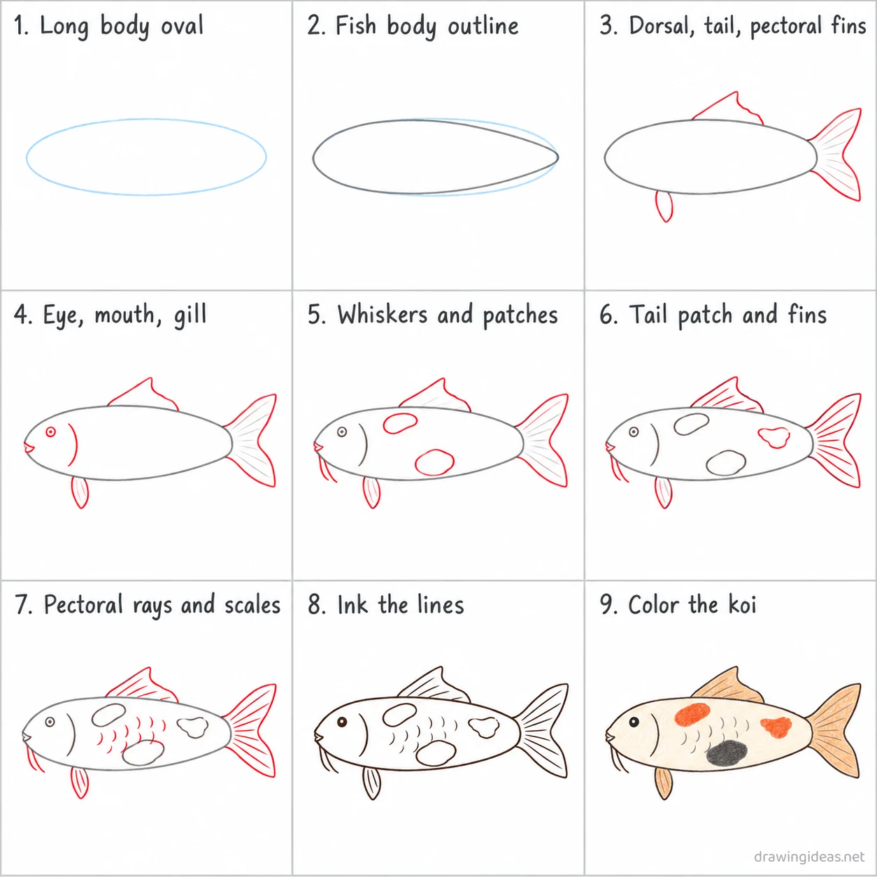 How to draw a koi fish step by step — 9-step koi fish drawing tutorial sheet