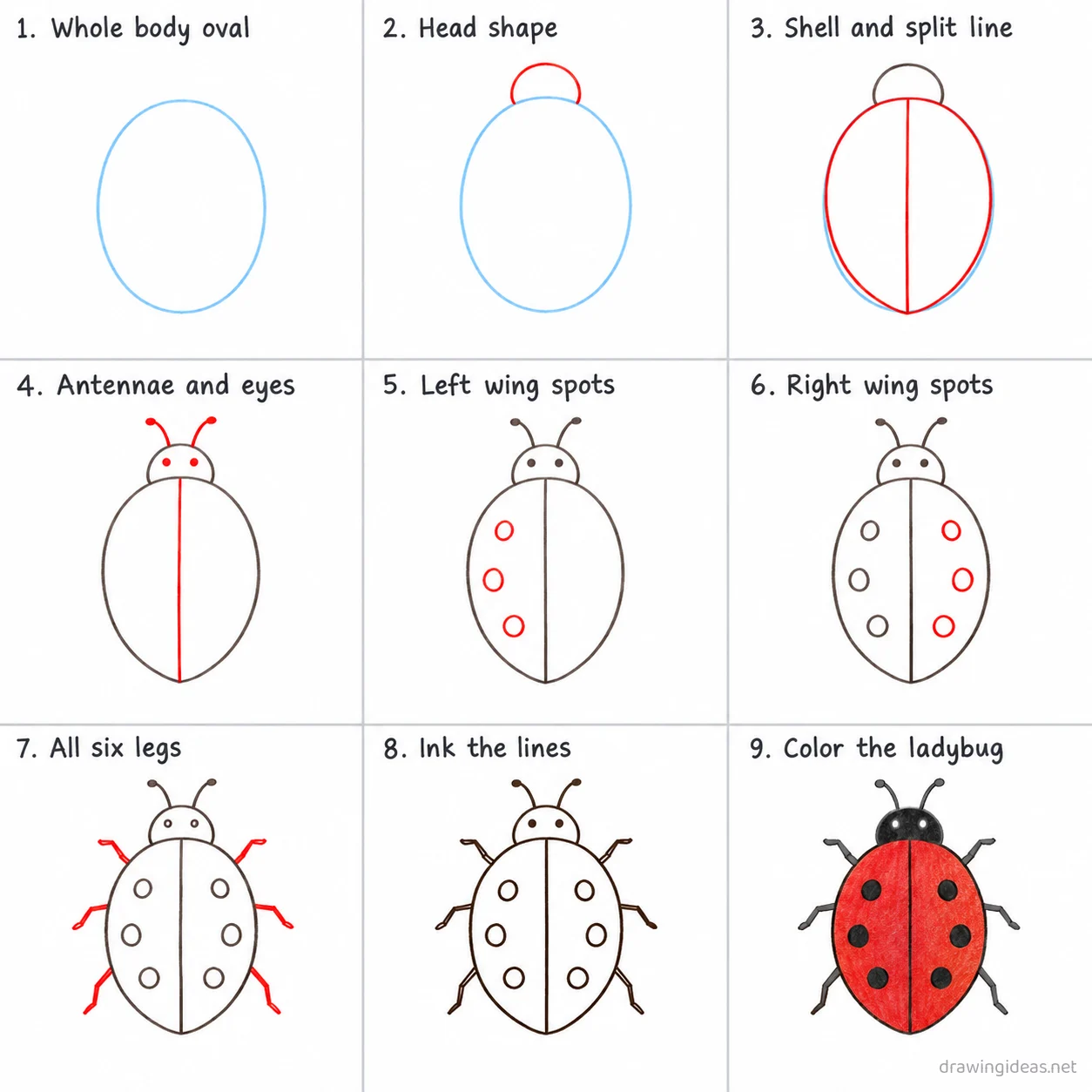 How to draw a ladybug step by step — 9-step ladybug drawing tutorial sheet