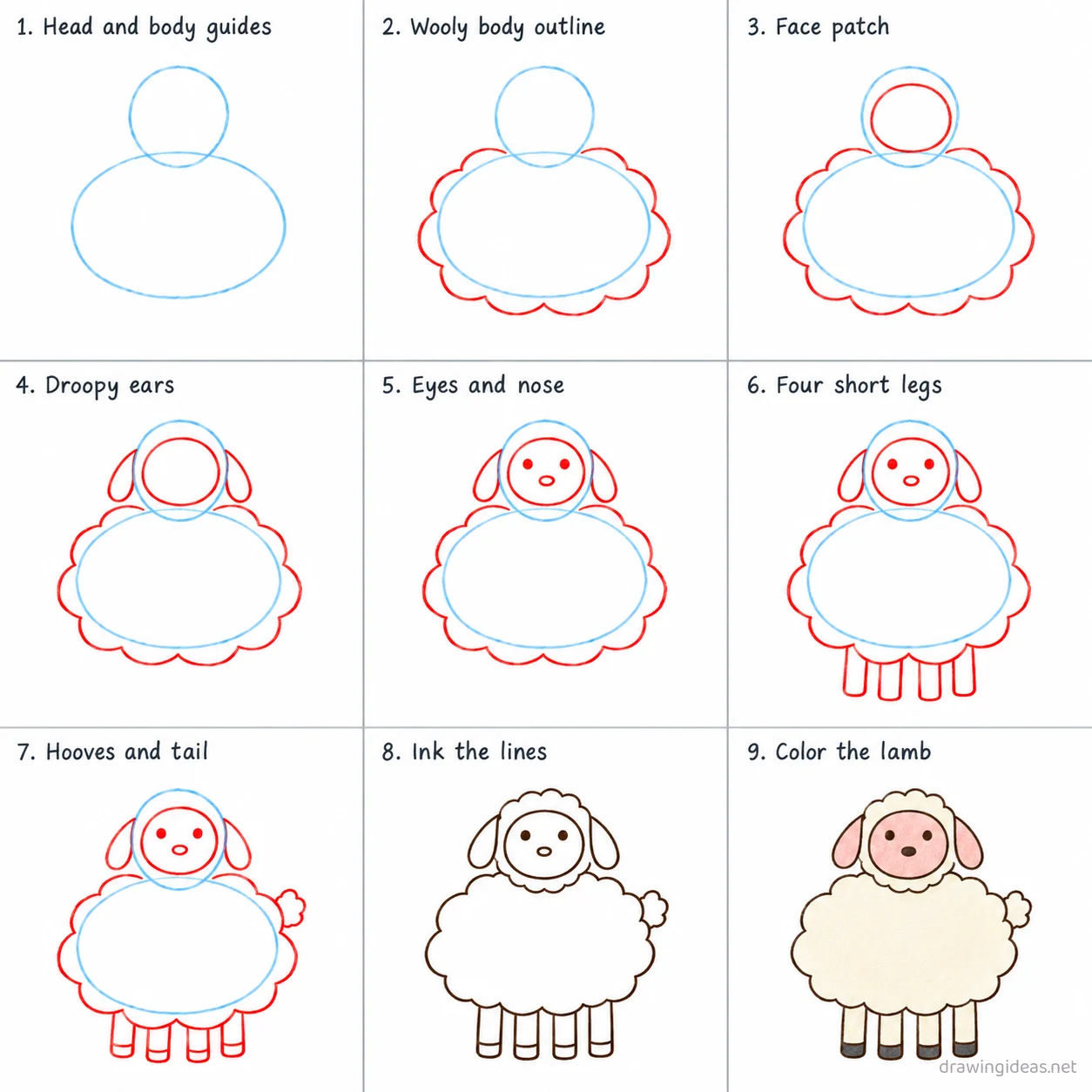 How to draw a lamb step by step — 9-step lamb drawing tutorial sheet