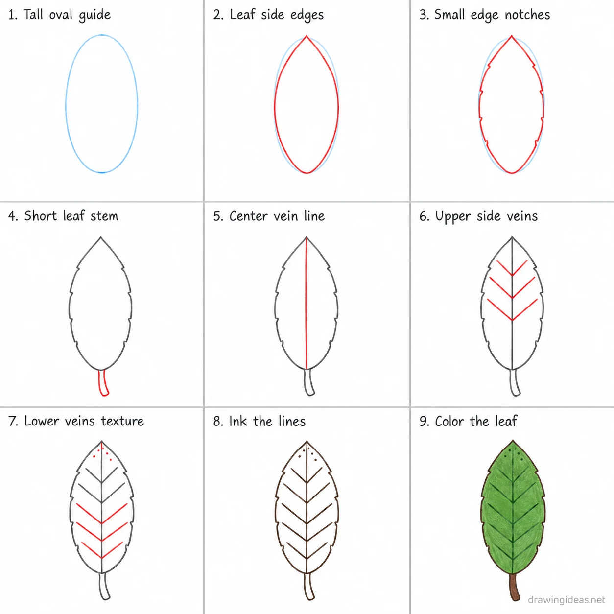 How to draw a leaf step by step — 9-step leaf drawing tutorial sheet