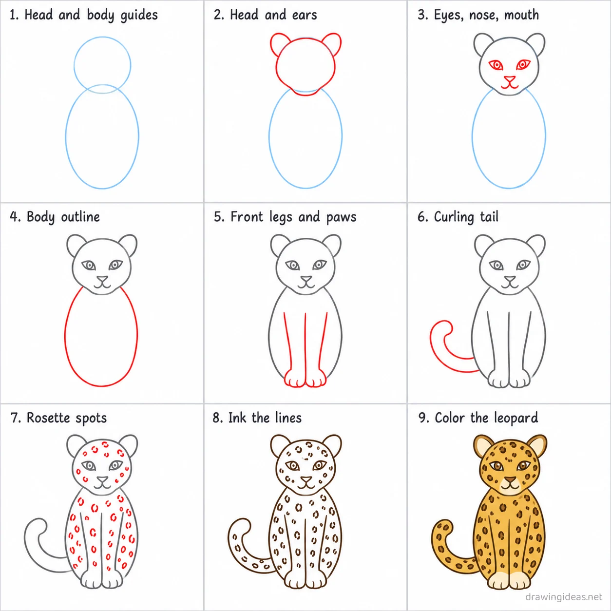 How to draw a leopard step by step — 9-step leopard drawing tutorial sheet