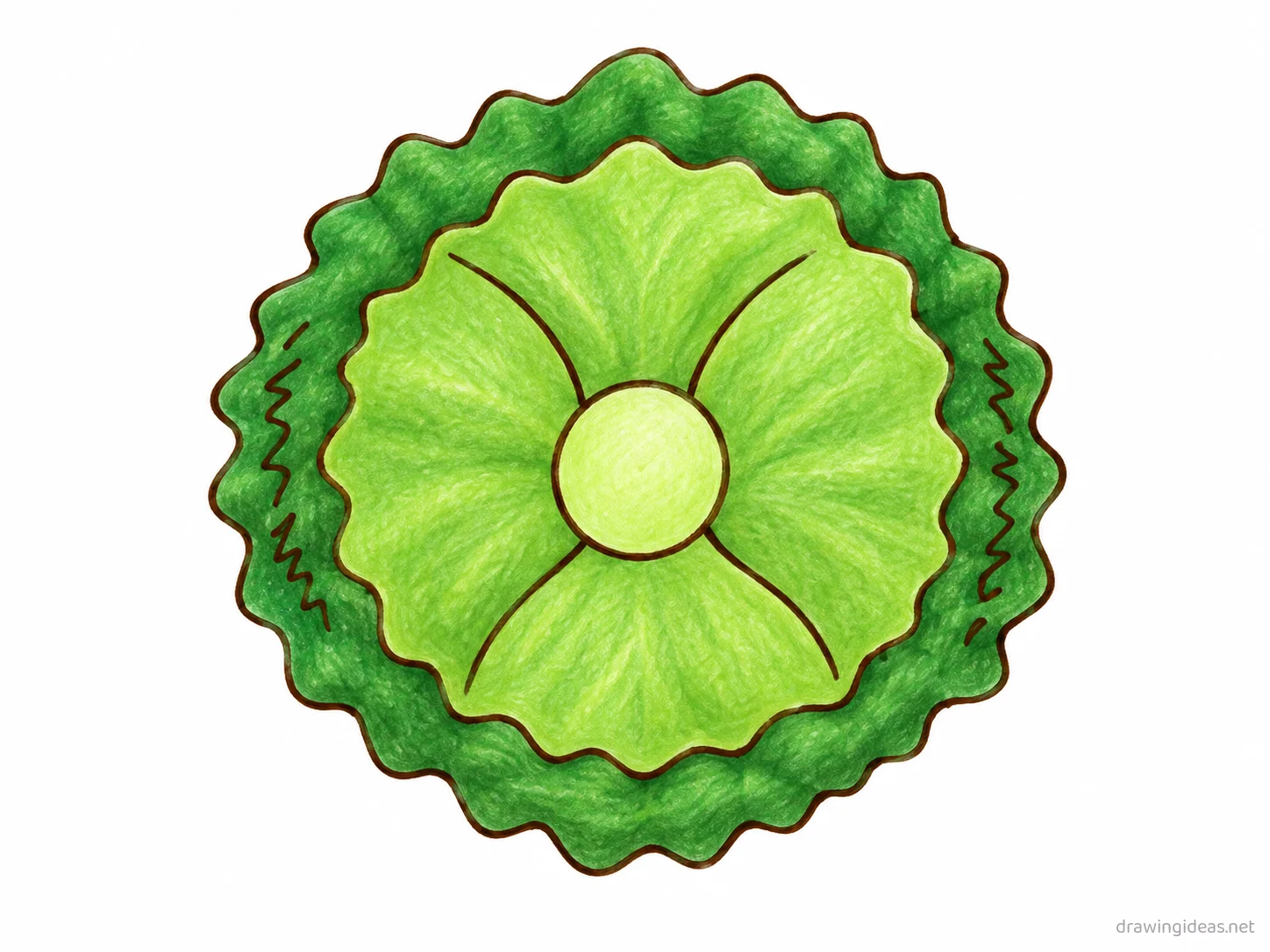 Lettuce drawing — hand-drawn lettuce illustration with ink lines and soft colors