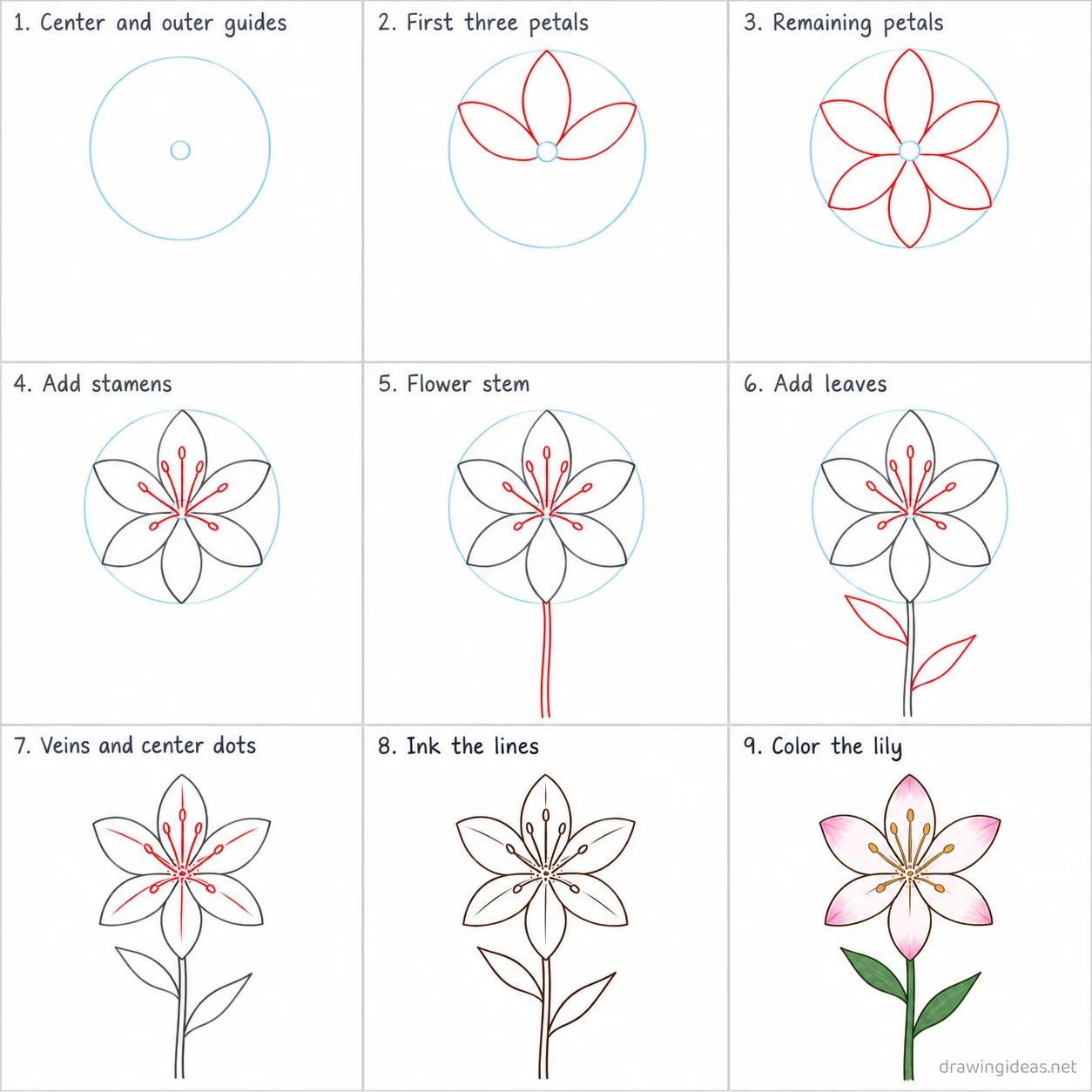 How to draw a lily step by step — 9-step lily drawing tutorial sheet