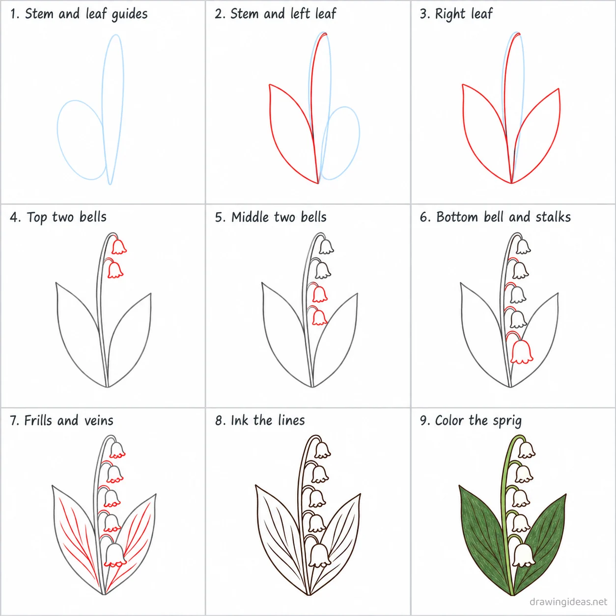 How to draw a lily of valley step by step — 9-step lily of valley drawing tutorial sheet