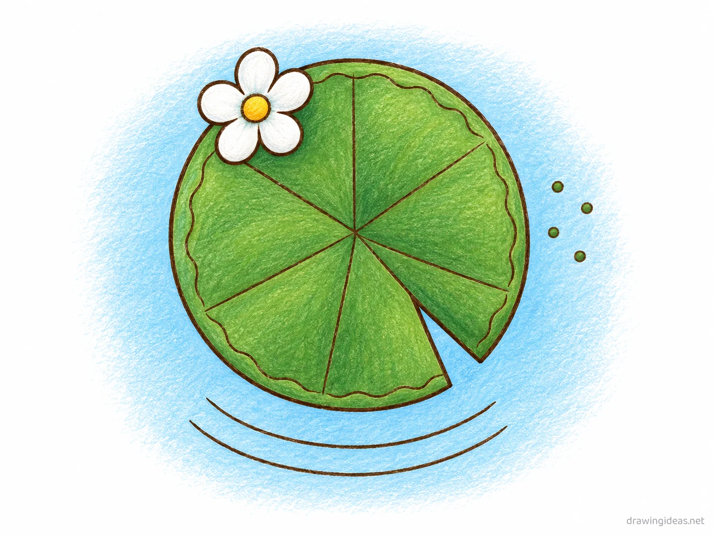Lily Pad drawing — hand-drawn lily pad illustration with ink lines and soft colors