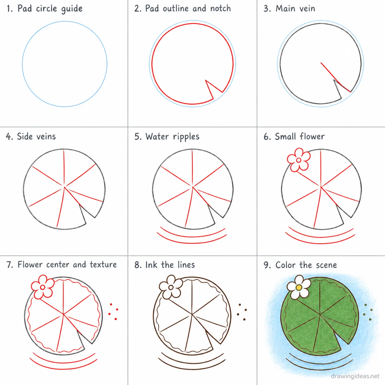 How to draw a lily pad step by step — 9-step lily pad drawing tutorial sheet