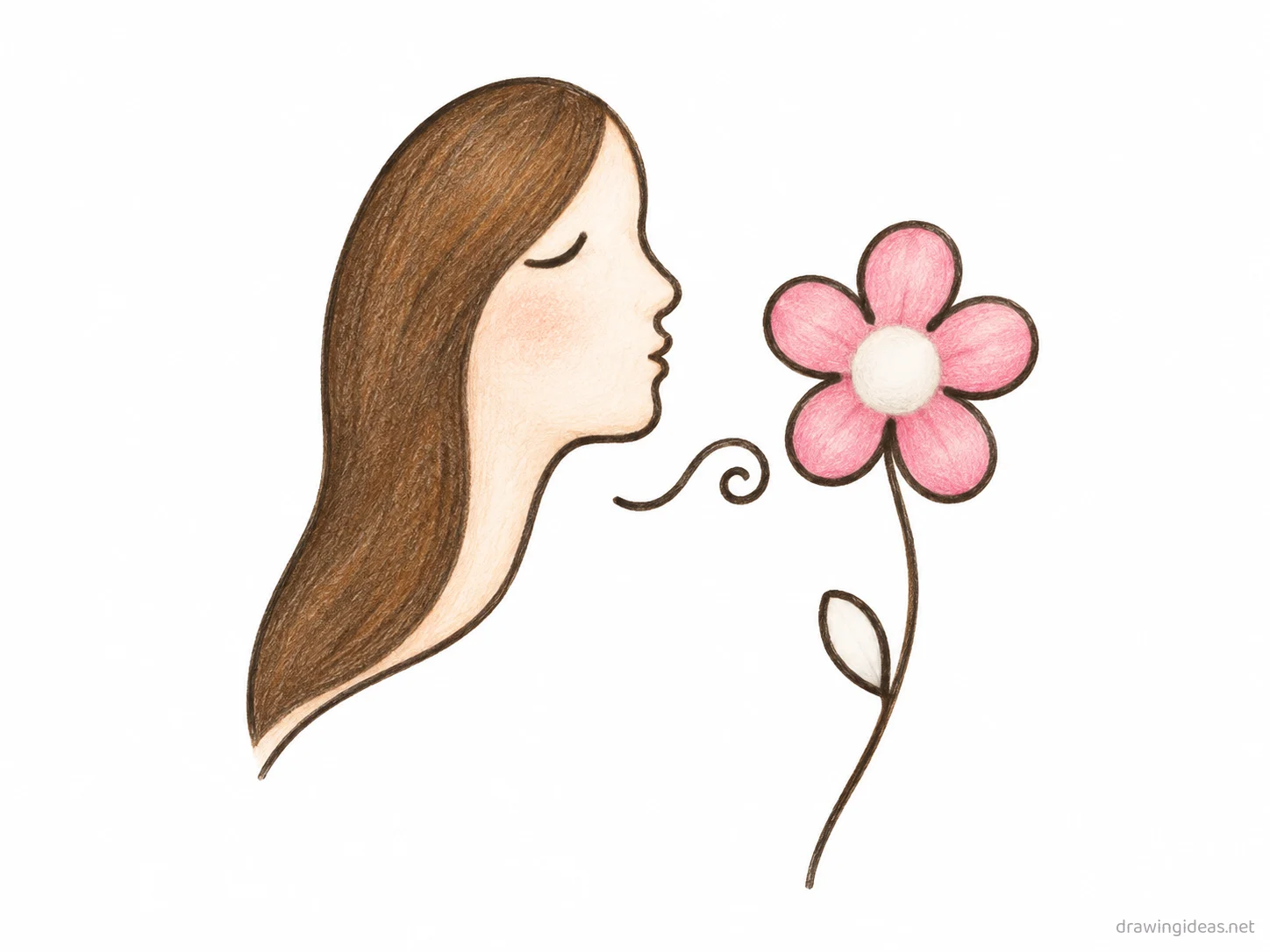 Line Art drawing — hand-drawn line art illustration with ink lines and soft colors