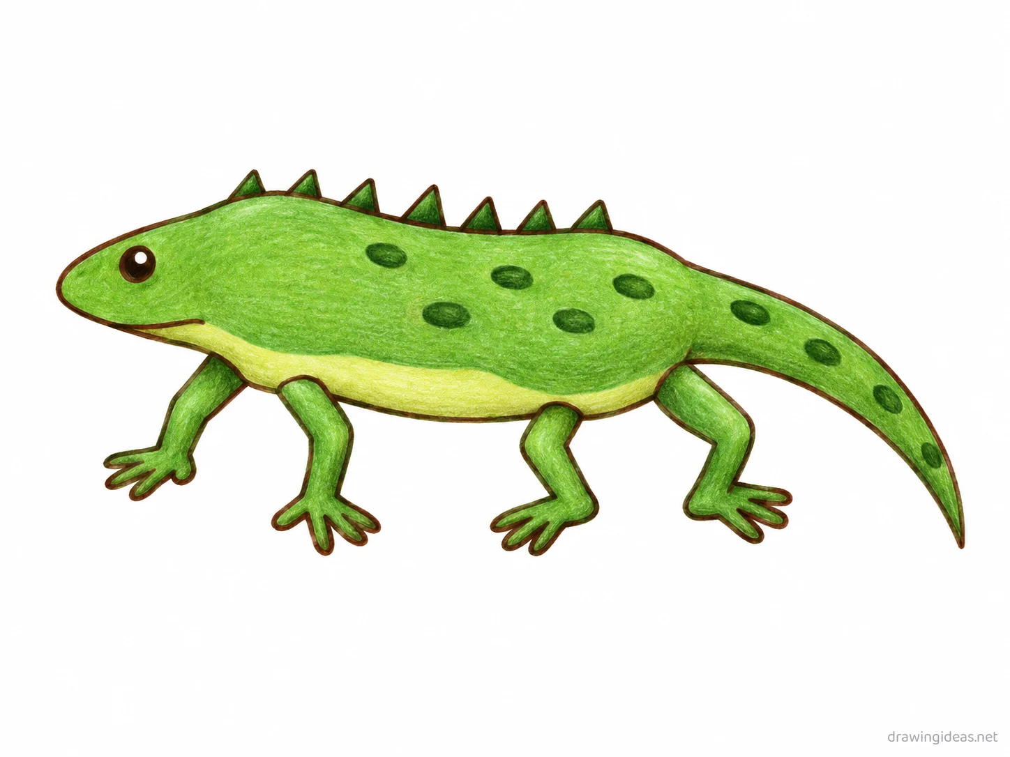 Lizard drawing — hand-drawn lizard illustration with ink lines and soft colors