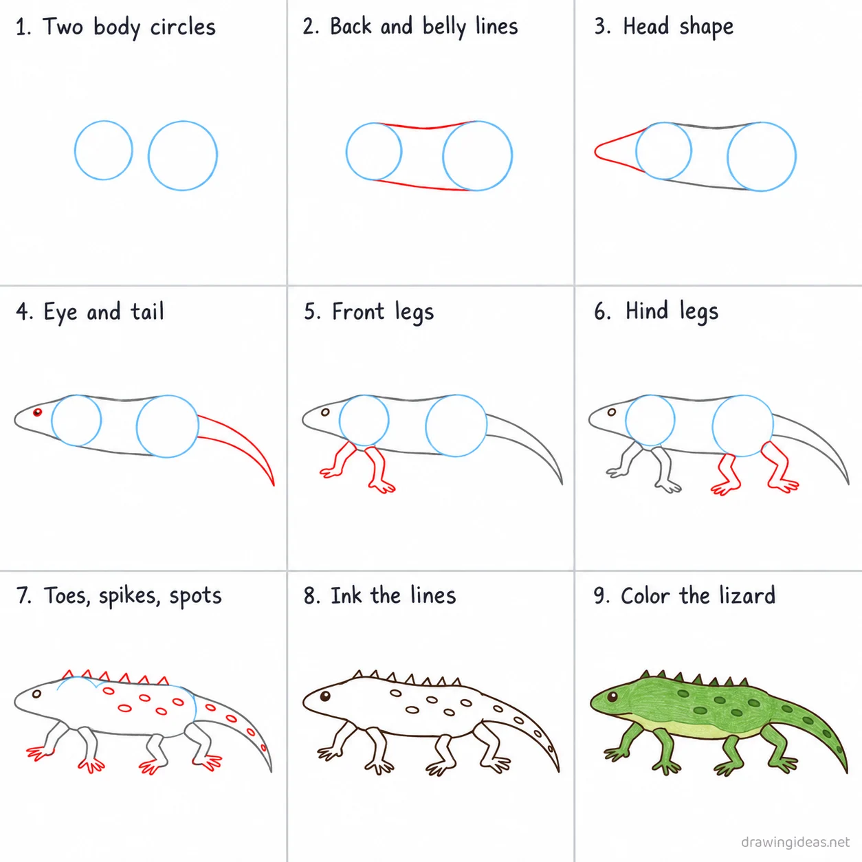 How to draw a lizard step by step — 9-step lizard drawing tutorial sheet