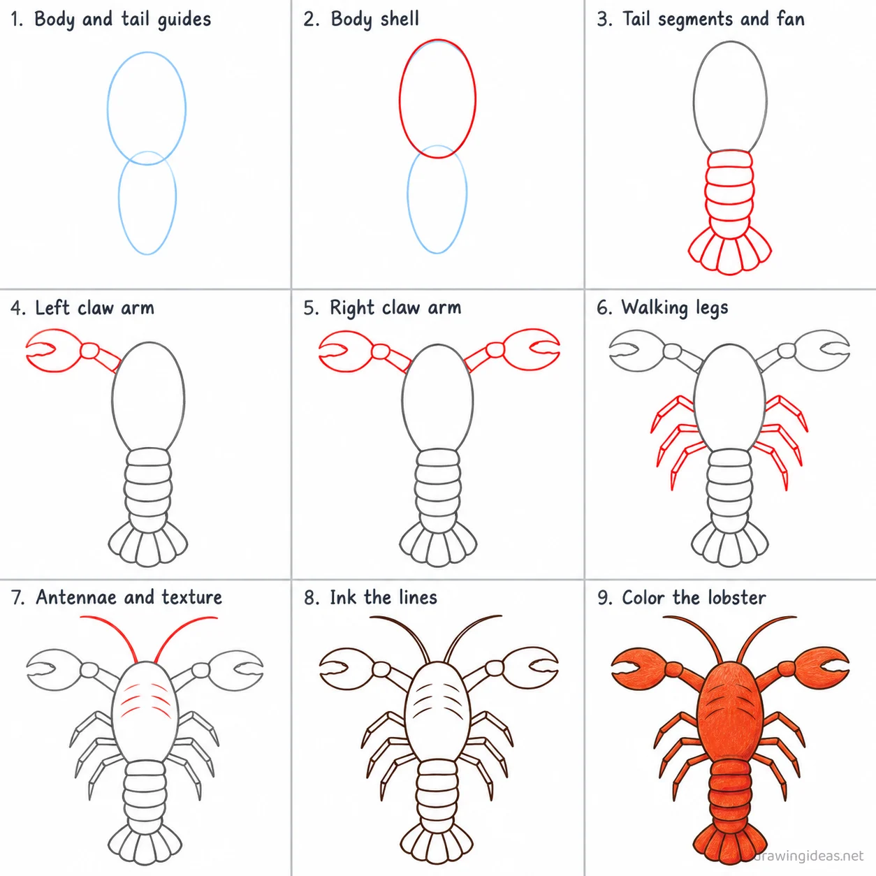 How to draw a lobster step by step — 9-step lobster drawing tutorial sheet