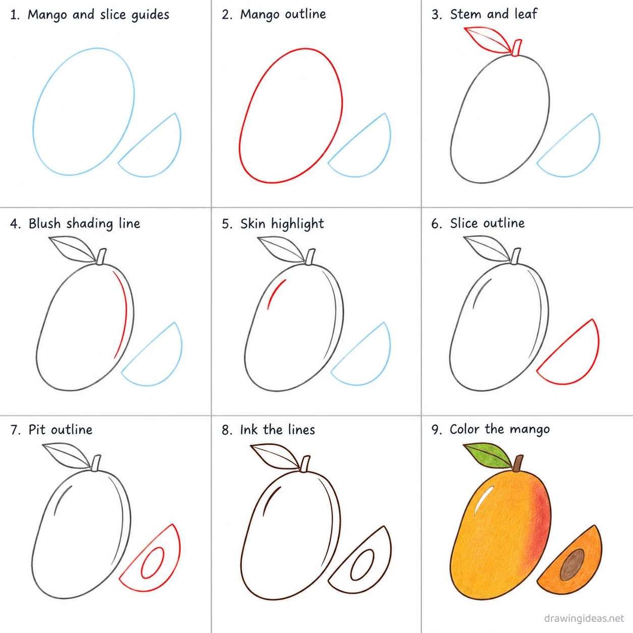 How to draw a mango step by step — 9-step mango drawing tutorial sheet