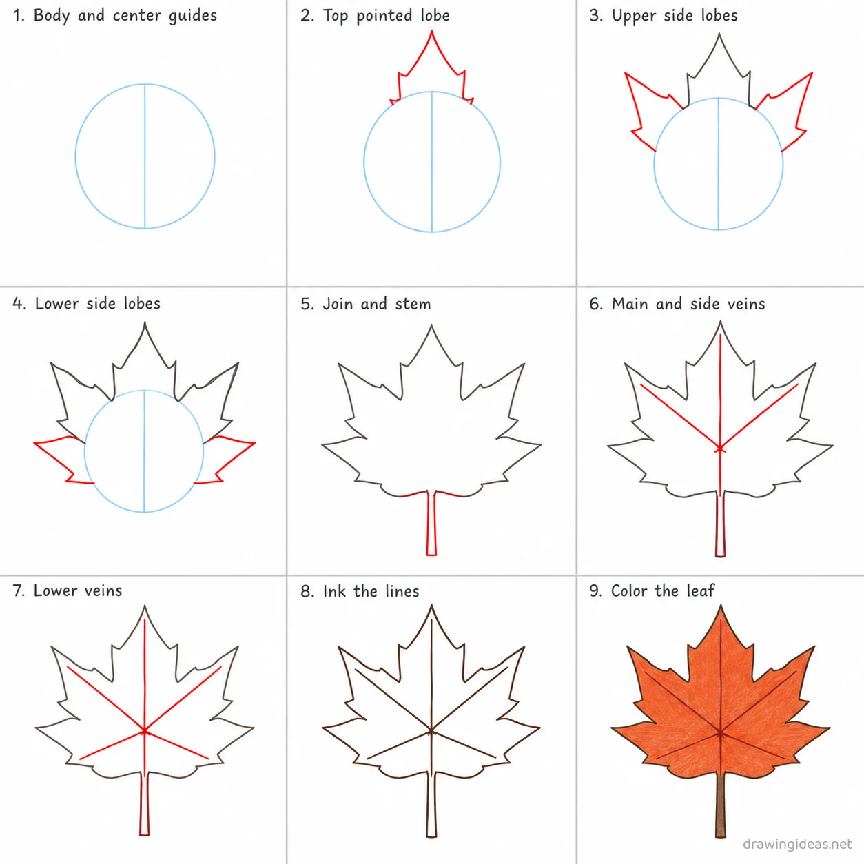 How to draw a maple leaf step by step — 9-step maple leaf drawing tutorial sheet